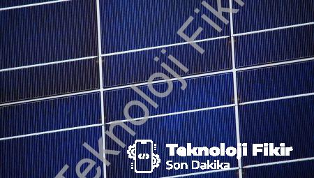 Enerji Mahsulleri: Bitkilerle Yapabileceğin Enerji Devrimi