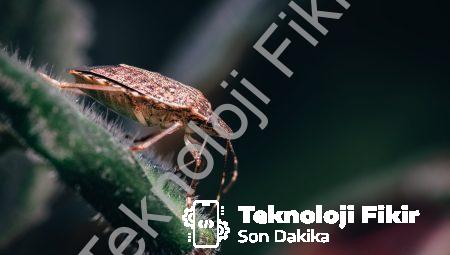 Halıflekslerdeki İnatçı Lekeleri Derin Yıkama İle Giderin!