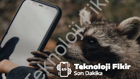 Cep Telefonu Yedek Parça Trendleri