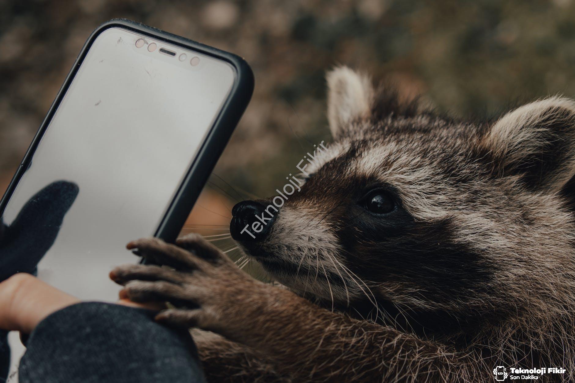 Mobilteknik.com: Cep Telefonu Yedek Parça Trendleri