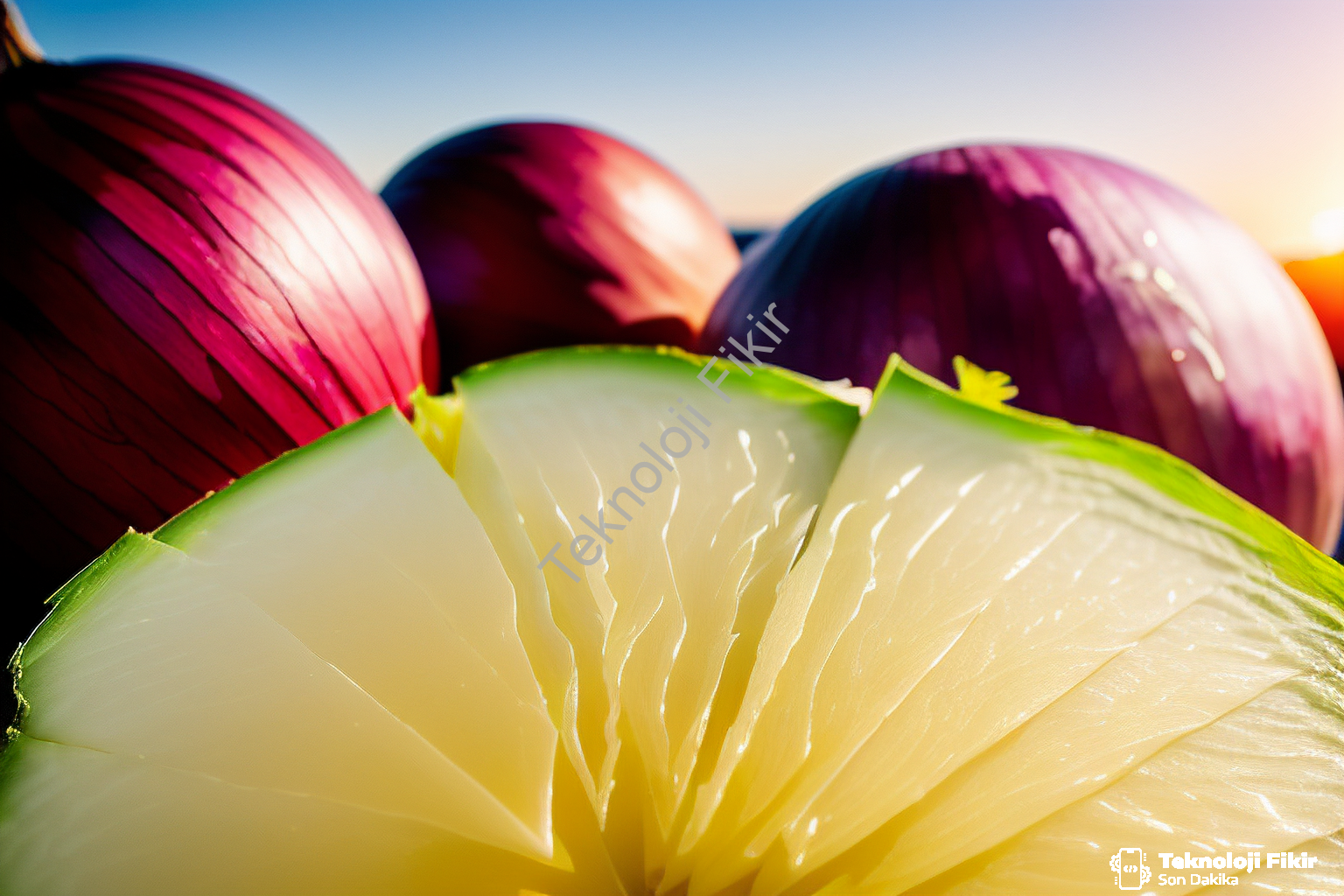 taze soğan faydaları