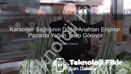 Karaciğer Sağlığının Doğal Anahtarı Enginar: Pazarda Yoğun Talep Görüyor