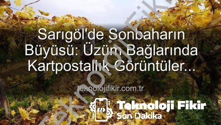 Sarıgöl’de Sonbaharın Büyüsü: Üzüm Bağlarında Kartpostallık Görüntüler Eşliğinde Budama Çalışmaları