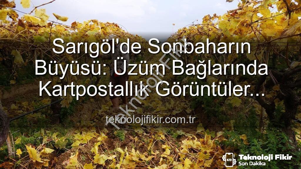 Sarıgöl üzüm bağları - Sarıgöl'de Sonbaharın Büyüsü: Üzüm Bağlarında Kartpostallık Görüntüler Eşliğinde Budama Çalışmaları