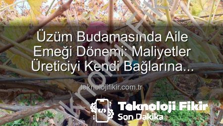 Üzüm Budamasında Aile Emeği Dönemi: Maliyetler Üreticiyi Kendi Bağlarına İndirdi