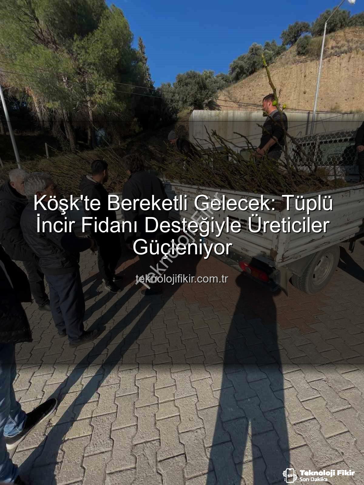 tüplü incir fidanı - Köşk'te Bereketli Gelecek: Tüplü İncir Fidanı Desteğiyle Üreticiler Güçleniyor