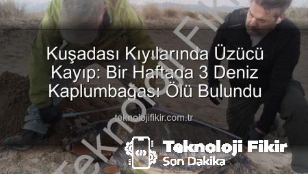 Kuşadası Kıyılarında Üzücü Kayıp: Bir Haftada 3 Deniz Kaplumbağası Ölü Bulundu
