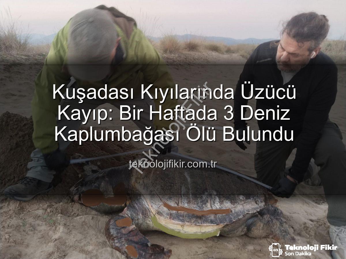 deniz kaplumbağası ölümü - Kuşadası Kıyılarında Üzücü Kayıp: Bir Haftada 3 Deniz Kaplumbağası Ölü Bulundu