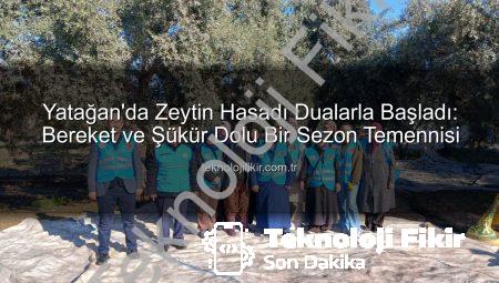 Yatağan’da Zeytin Hasadı Dualarla Başladı: Bereket ve Şükür Dolu Bir Sezon Temennisi