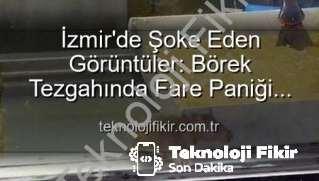 İzmir’de Şoke Eden Görüntüler: Börek Tezgahında Fare Paniği ve İşletmeye Mühür