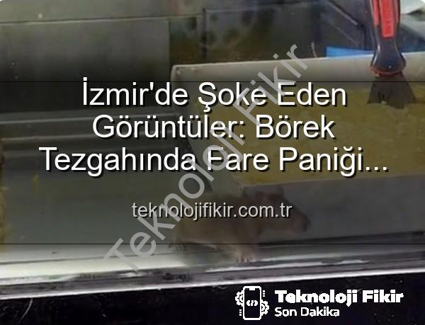 börek tezgahında fare - İzmir'de Şoke Eden Görüntüler: Börek Tezgahında Fare Paniği ve İşletmeye Mühür