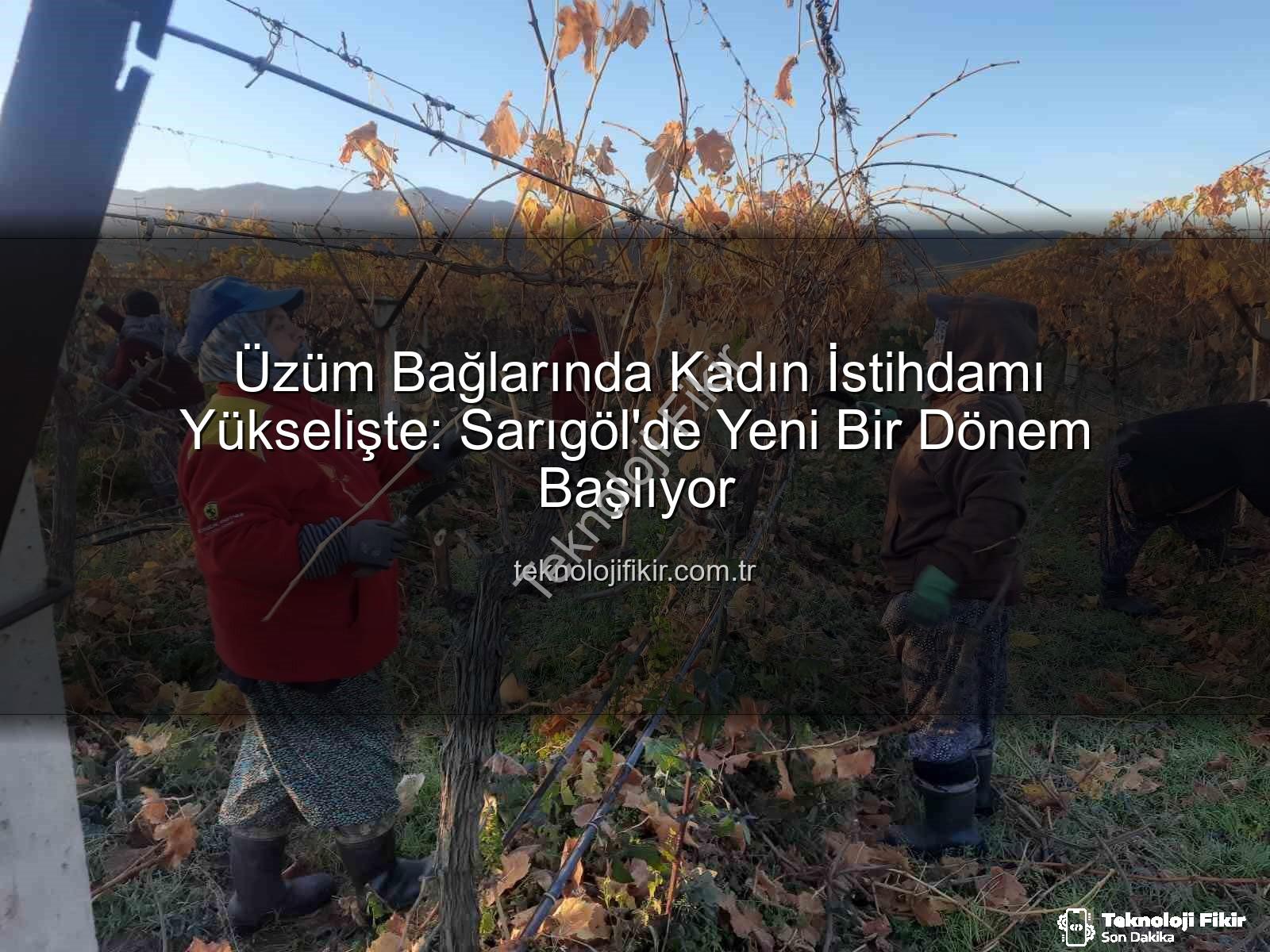kadın istihdamı - Üzüm Bağlarında Kadın İstihdamı Yükselişte: Sarıgöl'de Yeni Bir Dönem Başlıyor
