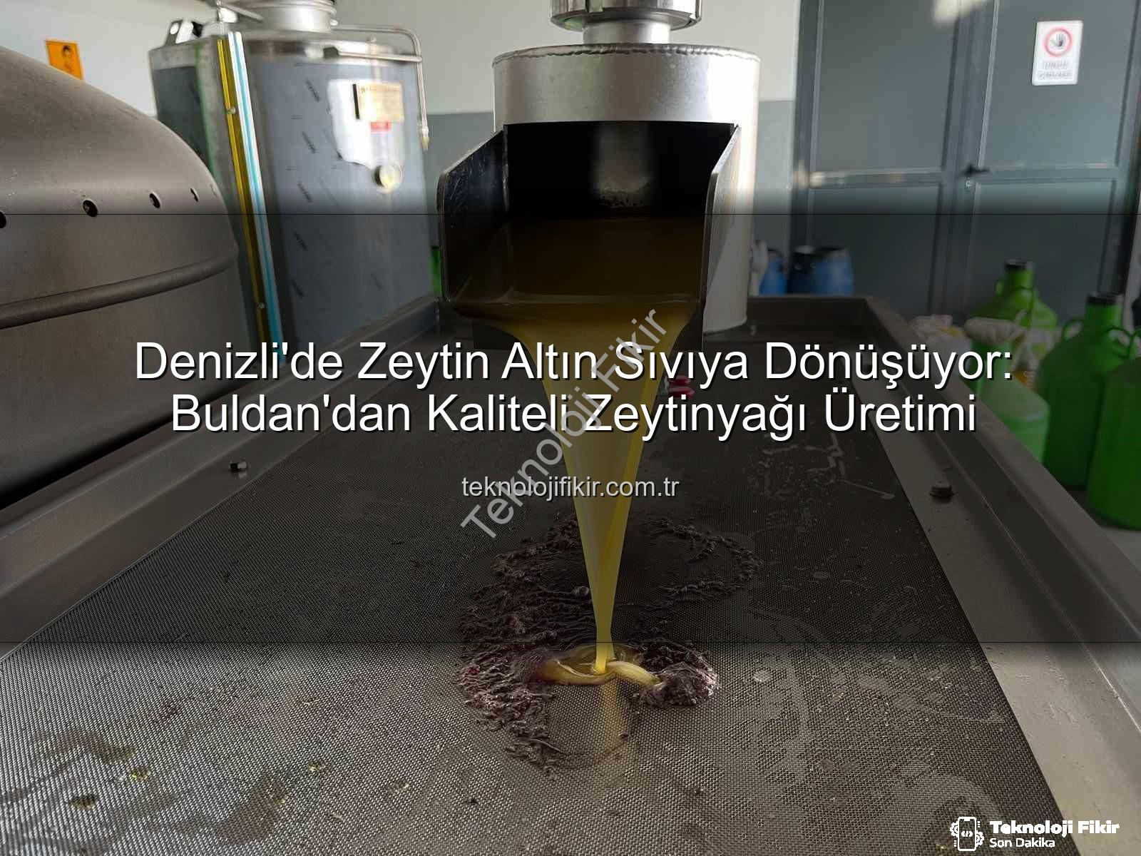 zeytinyağı üretimi - Denizli'de Zeytin Altın Sıvıya Dönüşüyor: Buldan'dan Kaliteli Zeytinyağı Üretimi