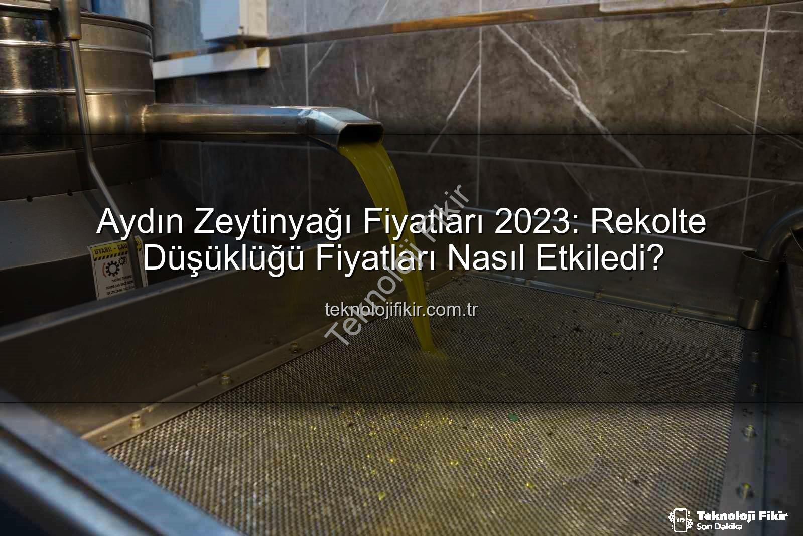 zeytinyağı fiyatları - Aydın Zeytinyağı Fiyatları 2023: Rekolte Düşüklüğü Fiyatları Nasıl Etkiledi?