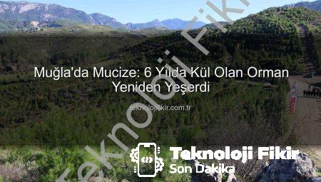 Muğla’da Mucize: 6 Yılda Kül Olan Orman Yeniden Yeşerdi