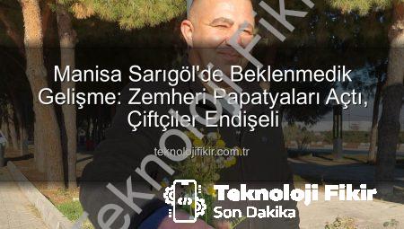 Manisa Sarıgöl’de Beklenmedik Gelişme: Zemheri Papatyaları Açtı, Çiftçiler Endişeli